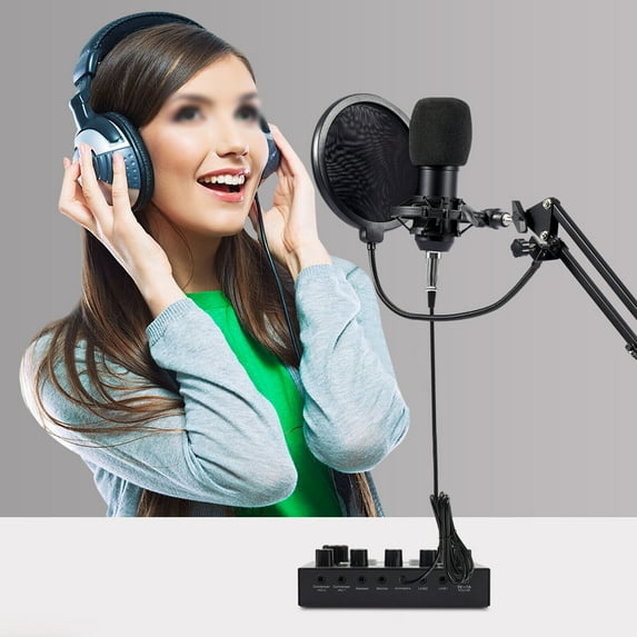 Homeheld Studio Recording Kit Microphone Set Music Podcast Equipment Mixer Condenser Black
