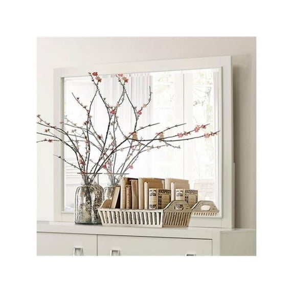 Homelegance 1905-6 Valpico Collection Mirror, Cool Grey - 49.5 x 0.75 x 37.75 in.