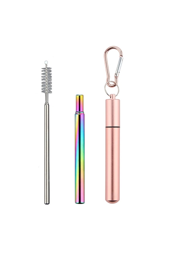 Retractable Stainless Steel Straw with Keychain Cleaning Brush Case Portable Collapsible Metal Straw Set for Travel Cruise Ship Essentials