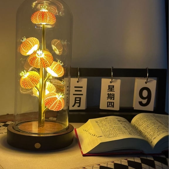 Homellea Handcrafted Sea Urchin Shell Night Light, Rechargeable Table Lamp with Wooden Base, Dimmable Touch Control Bedside Lamp, Unique Ocean Decor Gift for Women, Bedroom