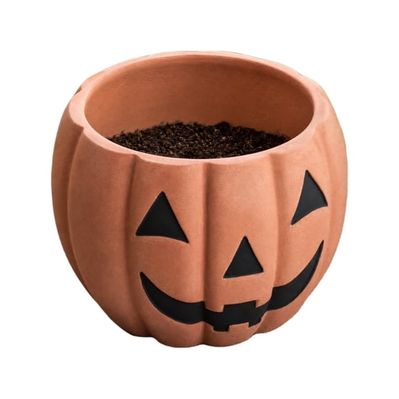 Homellea Pumpkin Face Planter Pot, 9.84 Inch Resin Halloween Flower Container for Succulents, Houseplants and Fall Arrangements, Indoor Tabletop, Entryway, Porch and Covered Patio Decor