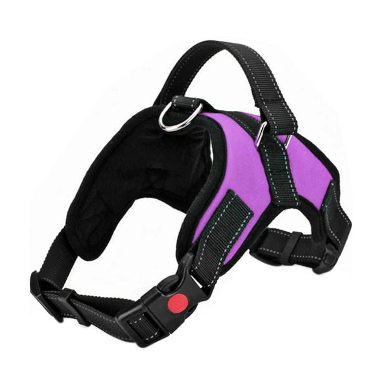 Pets at home no pull harness sales