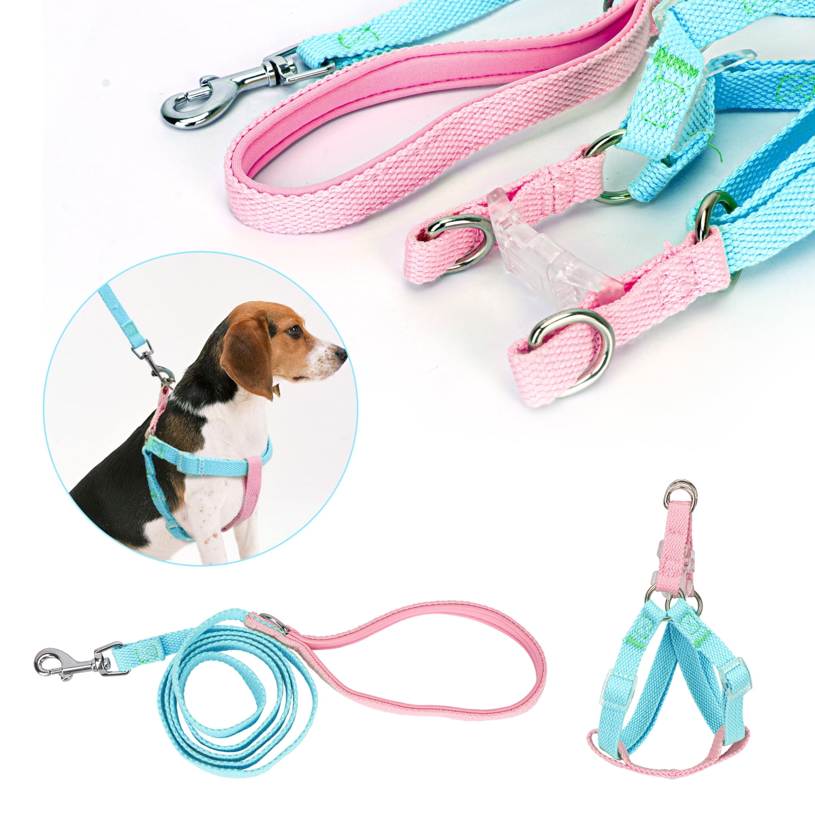 Harness and leash set online