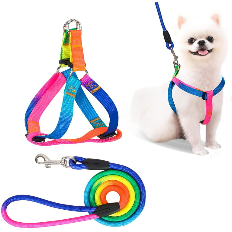 VETRESKA No Pull Dog Harness Leash Set for Small Dogs Puppy Harness  Adjustable