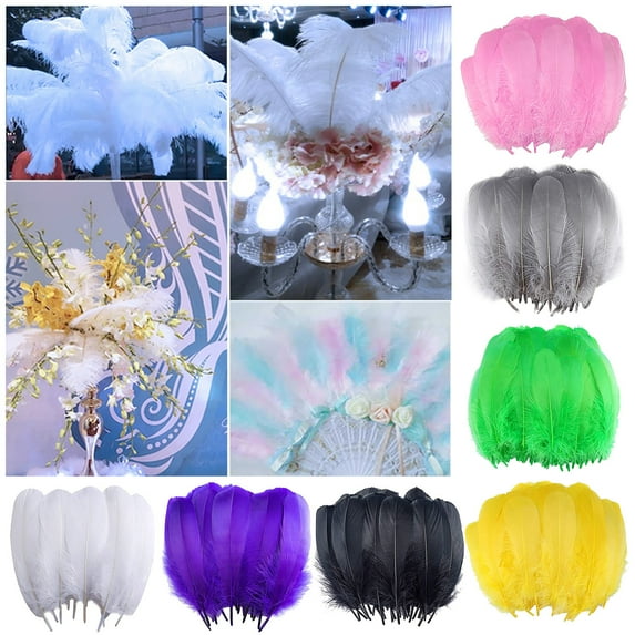 HomelyJoy Bulk Craft Feathers Assorted Colors - 5-7 Inch Large Colorful Feathers for DIY Crafts, Dream Catcher Supplies, Wedding Decor, and Thanksgiving Party Vase Fillers (100pcs Bag)
