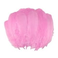thumbnail image 1 of HomelyJoy Fake Feathers for Crafts Bulk - 100pcs Bag of 5-7 Inch Colorful Turkey Feathers, Ideal for DIY Dream Catchers, Thanksgiving Parties, and Home Vase Decorative Projects, 1 of 2
