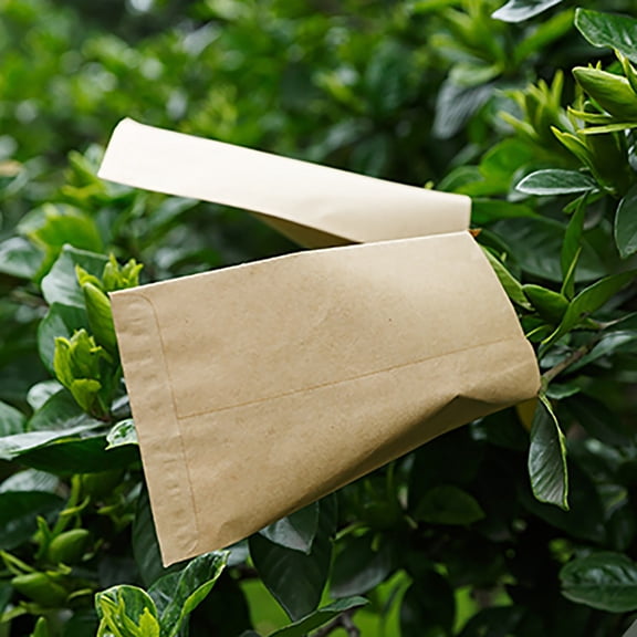 Homelyt 50 Pack Resealable Seed Envelopes Small Self Adhesive Empty Seed Packets Coin Envelopes Multipurpose Storage Packets for Garden Seed Wedding Favors Organizer