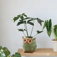 thumbnail image 1 of Homelyt Decorative Owl Pot for Plants Small Ceramic Succulent Planter with Tiny Tray Glaze Container Indoor Desk Home Decor Cute Flower Holder, 1 of 3