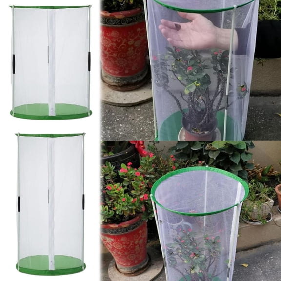 Homelyt Small Greenhouse Portable Mini PVC Plant Protector with Zipper 21.6x11.8 Inches Transparent Cover for Indoor and Outdoor Gardening