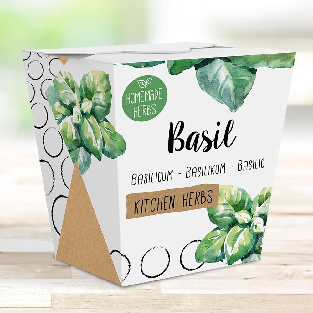 Homemade Herb Kit – All-in-One Kitchen Basil – Indoor Garden Planter ...