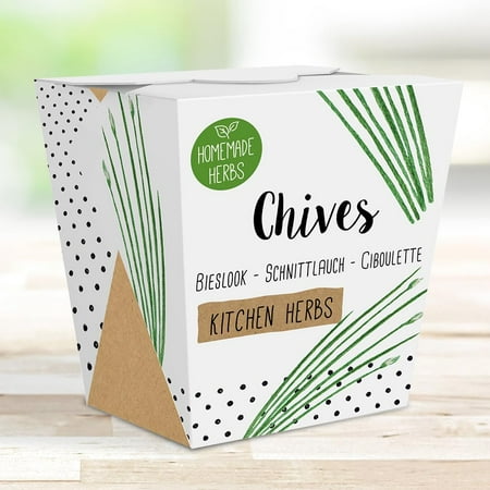 Homemade Herb Kit – All-in-One Kitchen Chives – Indoor Garden Planter - Grow Your own Edible Herbs – Live Seeds Ready to Plant – Pleasantly Scented