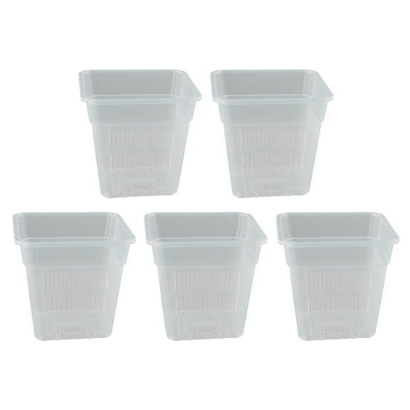 Homena Root Observation Square Pot Designed for Optimal For plant Growth Conditions
