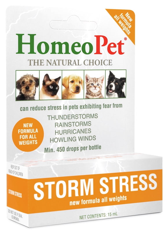 How to Help Dogs With Storm Anxiety: Effective Tips