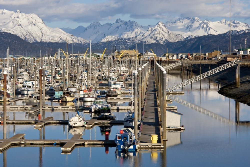 Homer Boat Harbor In Spring Kenai Peninsula Alaska Canvas Art - Kent Fredriksson Design Pics (34 x 22)