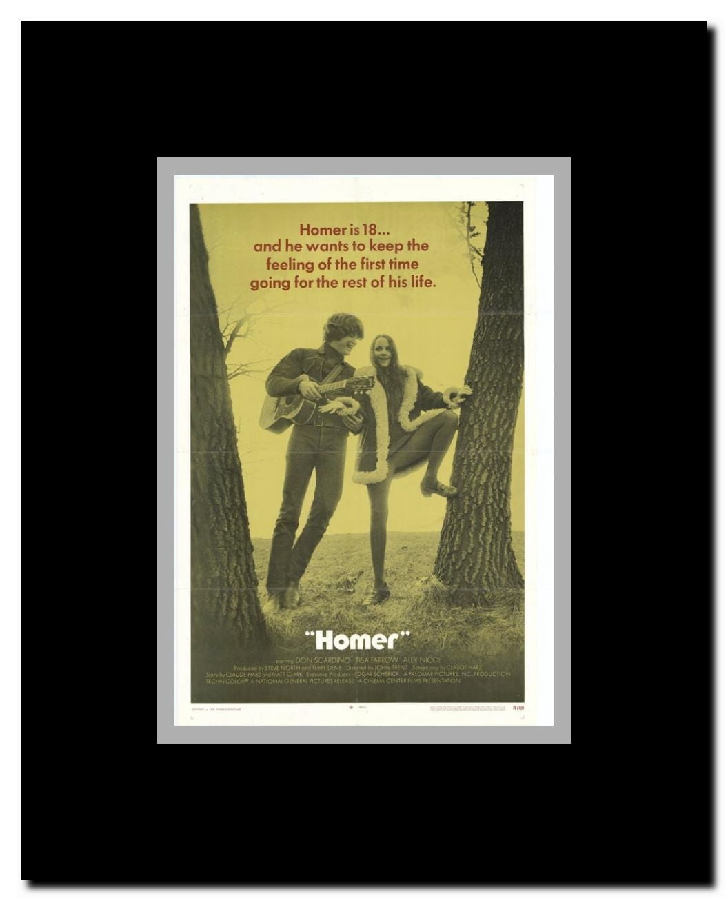 Homer Framed Movie Poster