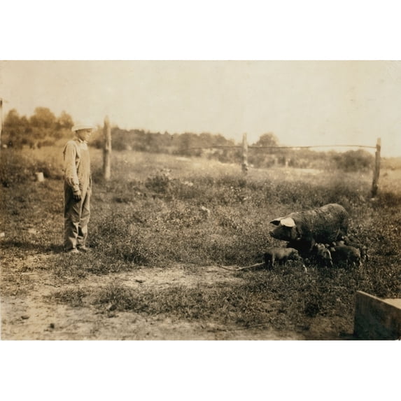 Homer Hunt Tending Pigs History (24 x 18)