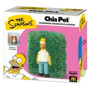 Homer Simpson Chia Pet Handmade Decorative Planter by JEI