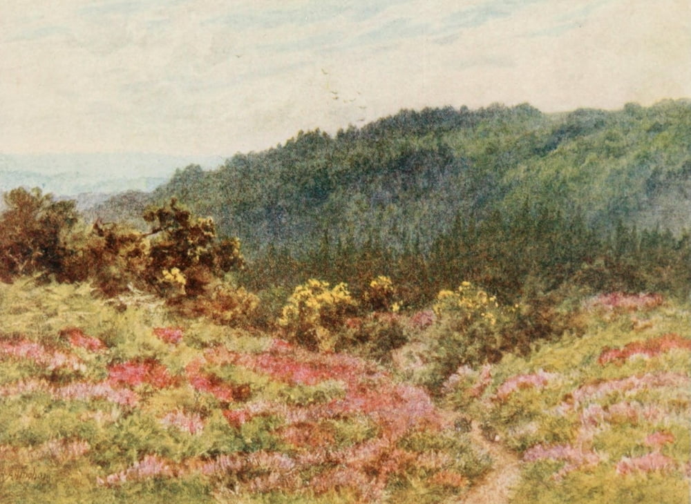 Homes of Tennyson 1905 Blackdown Tennysons Woods Canvas Art - Helen Allingham (24 x 36)