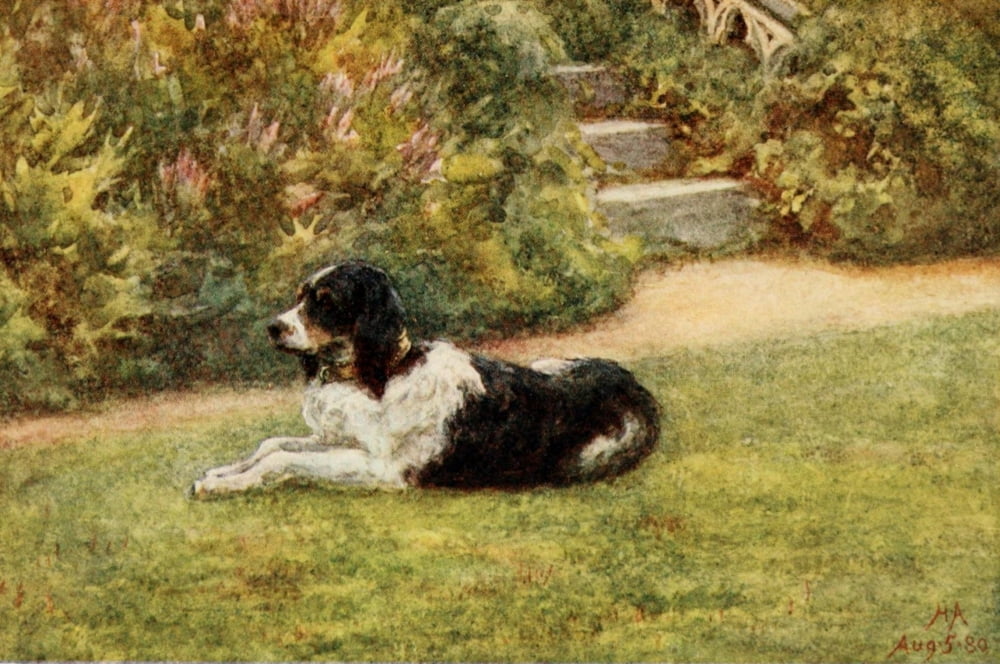 Homes of Tennyson 1905 Collie Canvas Art - Helen Allingham (18 x 24)