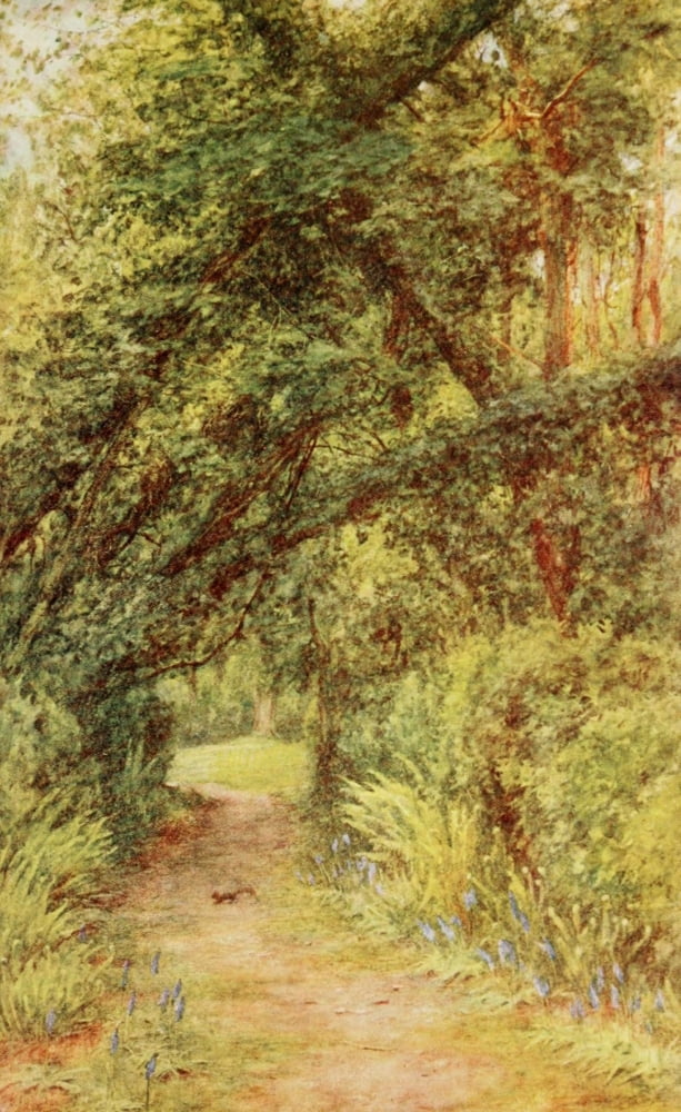 Homes of Tennyson 1905 Farringford Glade Canvas Art - Helen Allingham (18 x 24)