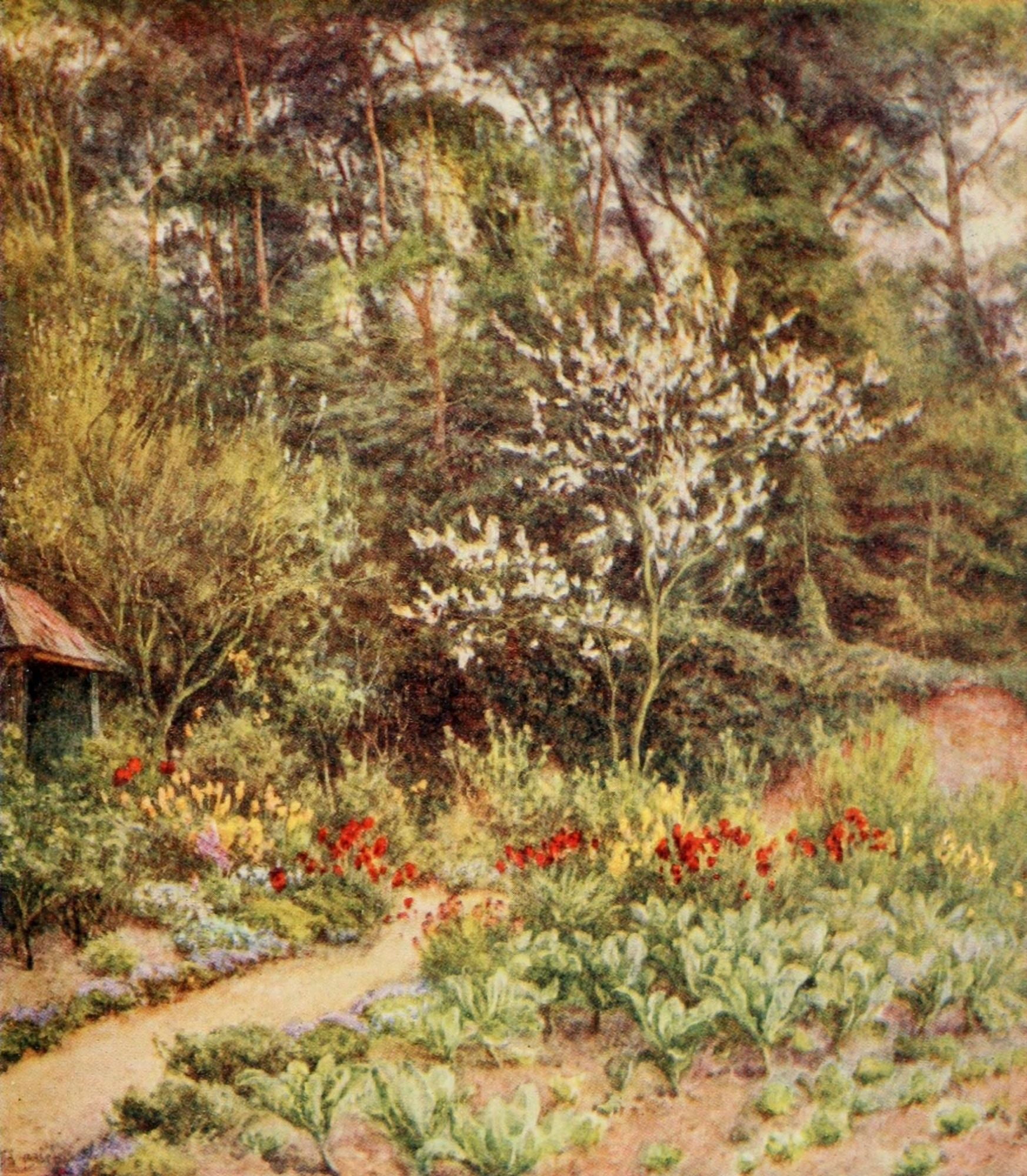 Homes of Tennyson 1905 Farringford in the Kitchen garden Canvas Art - Helen Allingham (24 x 36)