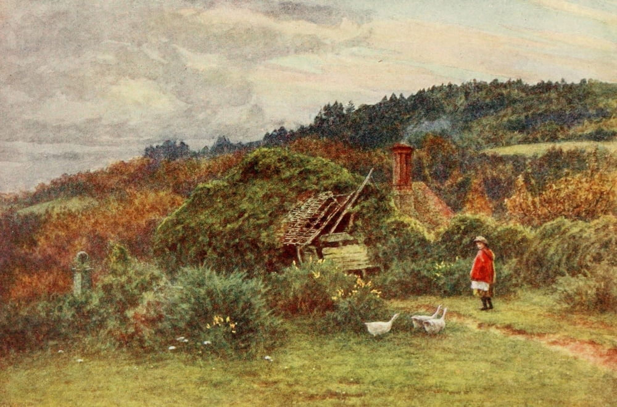 Homes of Tennyson 1905 Shed at Roundhurst Canvas Art - Helen Allingham (18 x 24)