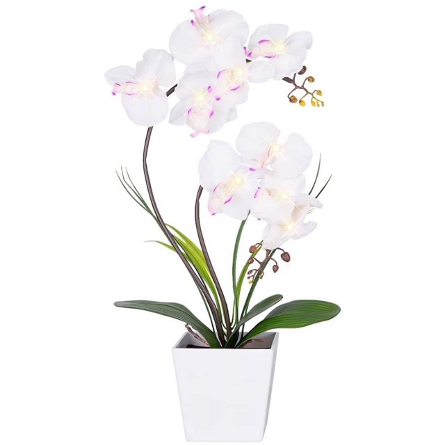 Homeseaons Orchid LampLED Lighted Orchid Arrangements,Pre Lit