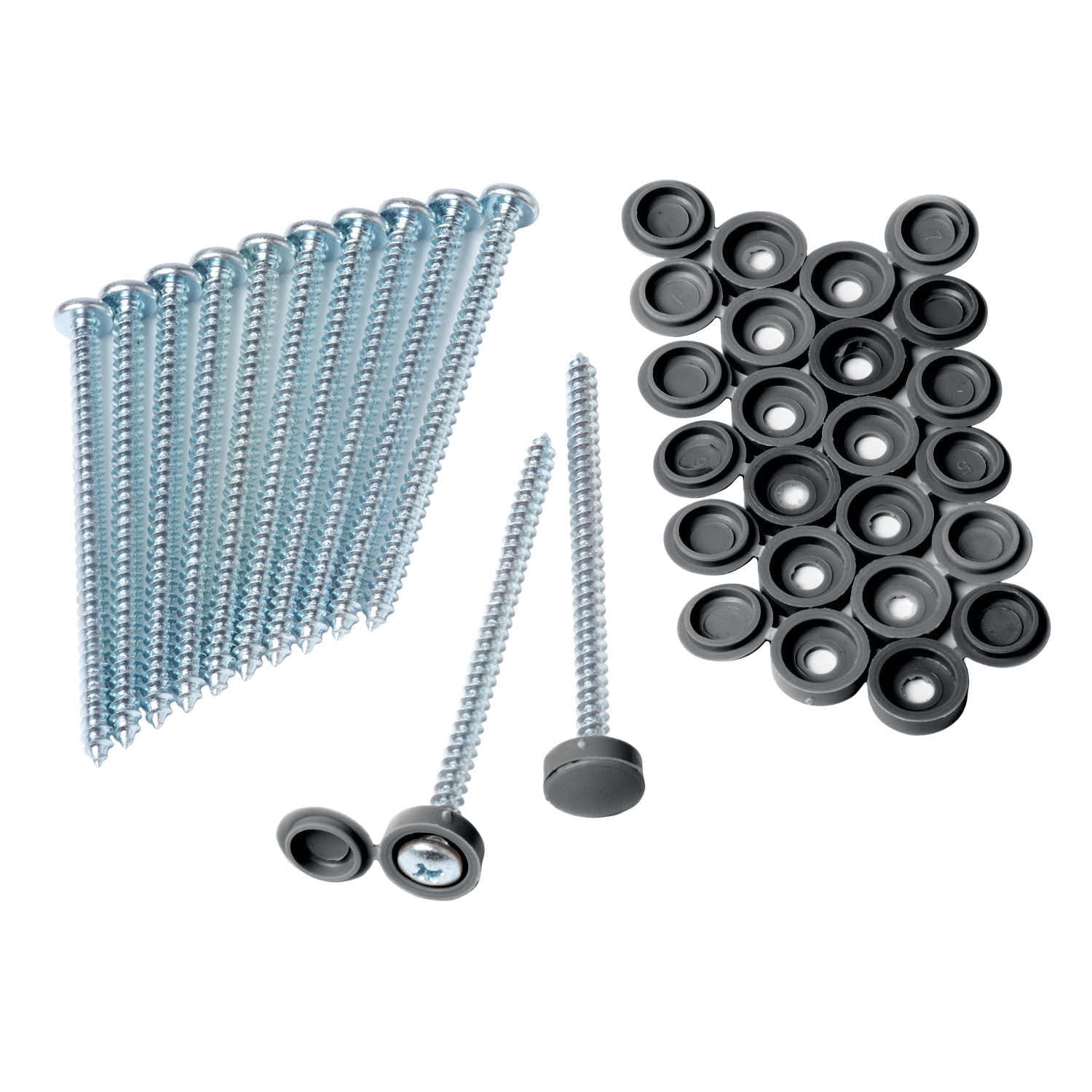 Gray Zinc Shutter Screws and Caps Set