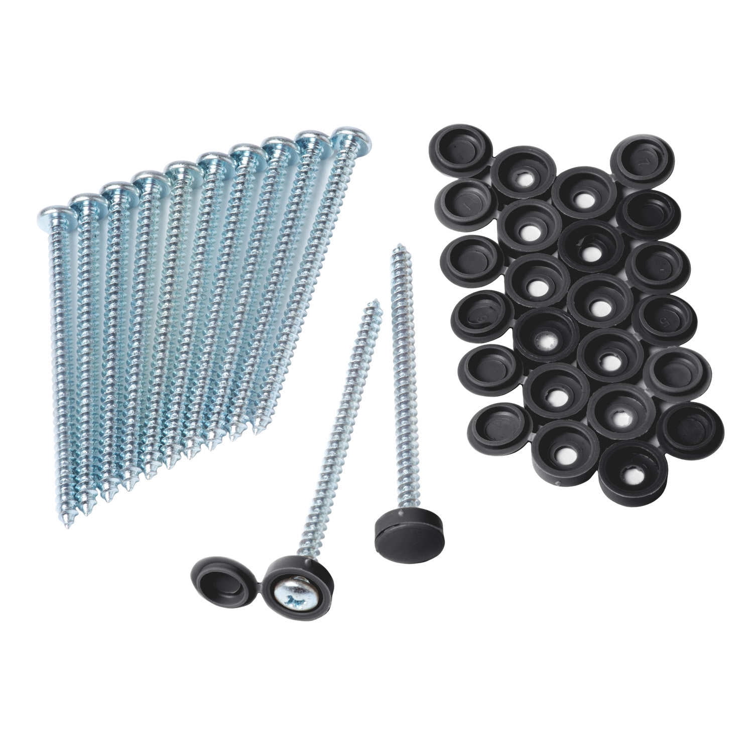 Shutter screws online