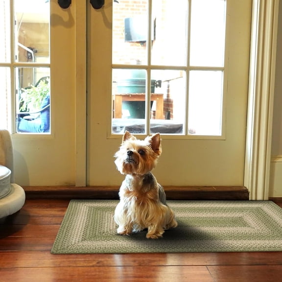 Homespice 20x30 Green Rectangular Braided Rug. Grassland Green Jute Rug. Uses- Entryway Rugs, Kitchen Rugs, Bathroom Rugs. Reversible, Rustic, Country, Primitive, Farmhouse Decor Rug