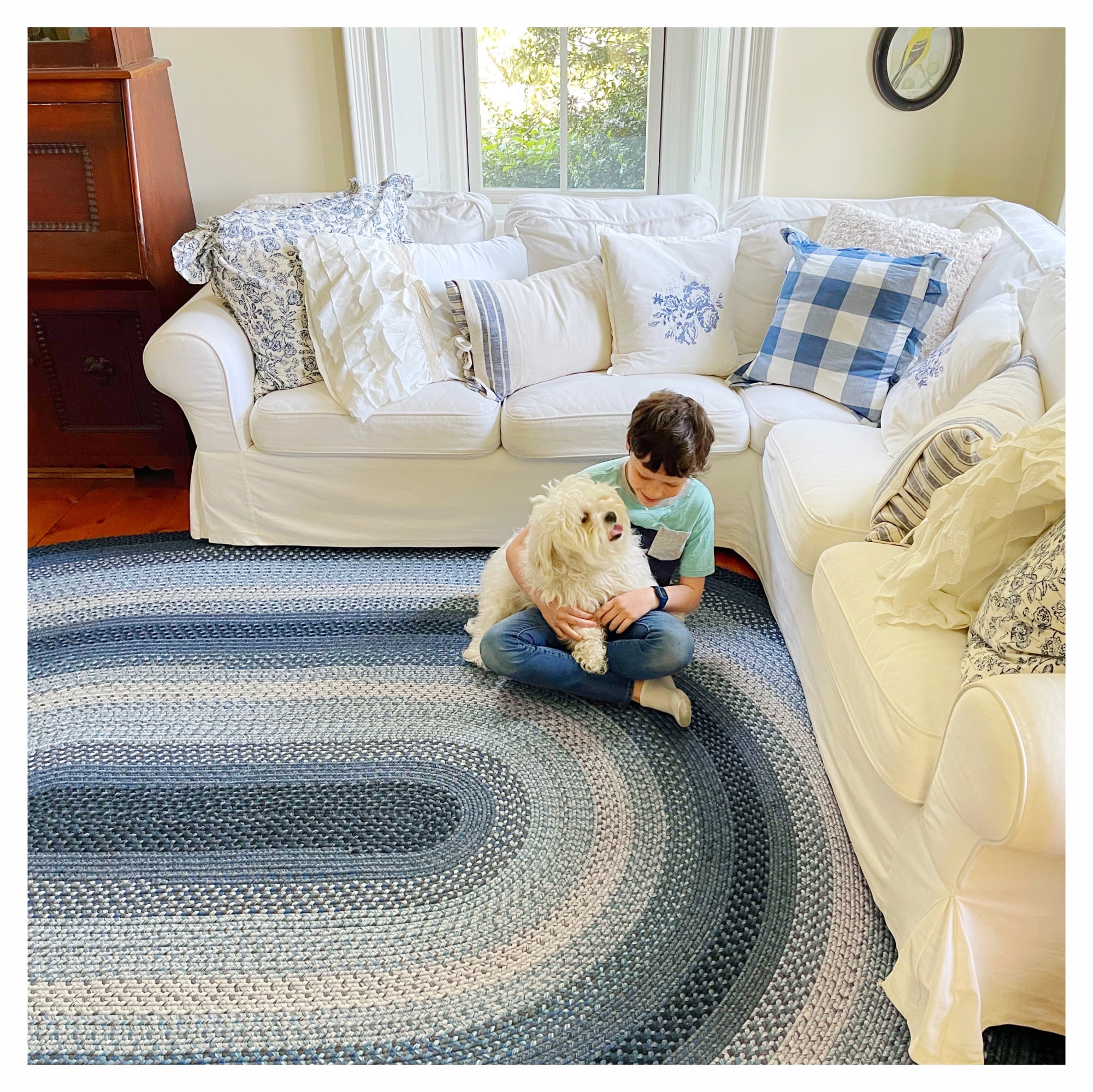 Multi Color Braided Rug 6x9 Feet Rug Home Decor Rectangle Floor Carpet Area  Rugs