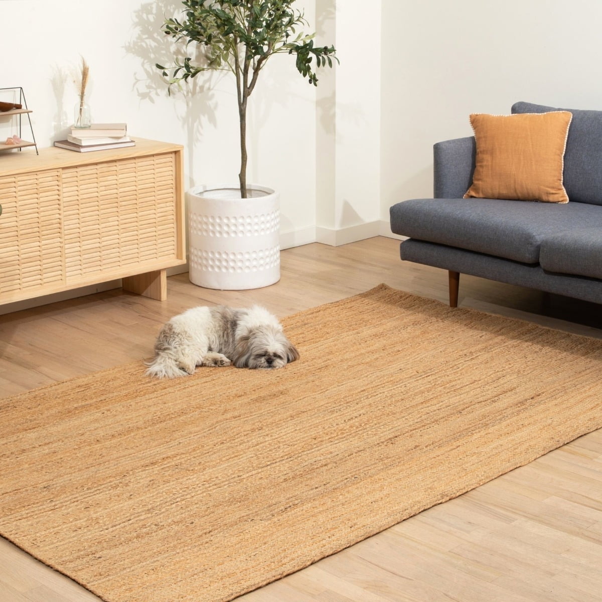 Homespice 5x7.5' Rugs for Living Room, Bedroom, Hallway, or