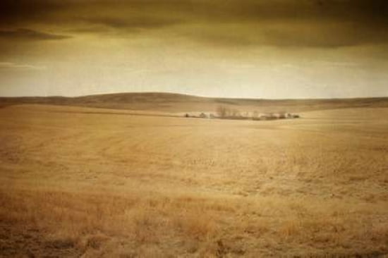 Homestead Canvas Art - Roberta Murray (24 x 36)