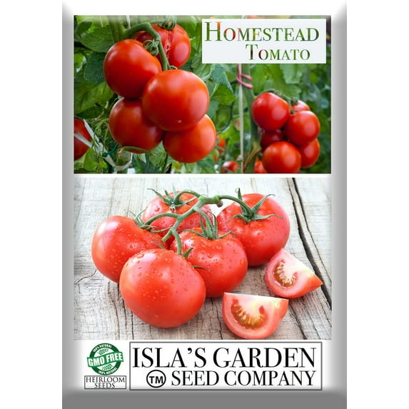 Homestead Heirloom Tomato Seeds, 150 Seeds Per Packet, Non GMO Seeds