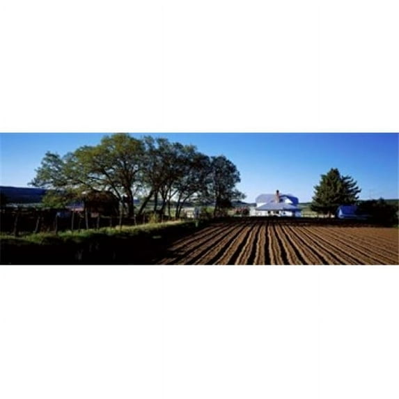 Homestead in Southern Utah, USA Poster Print (36 x 12)