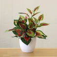 thumbnail image 1 of Homesteed Artificial Potted Plant Faux Indoor Desk Table Decoration Small Fake Plant in White Plastic Pot for Home Decor Office and Indoor Plants Display, 1 of 4