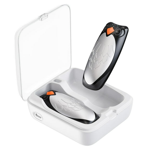 Homester Rechargeable Hand Warmers, 2 Pack Electric Hand Warmer with 10000 mAh Charging Case, Portable Heater for Camping Hunting Gear, Gifts for Women, Men, Christmas, Raynauds, Outdoor