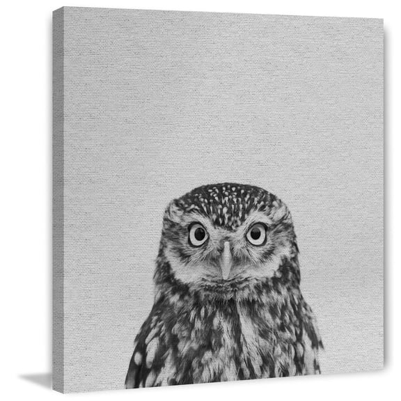 Owl Wall Art Canvas Print - 40" Large Home Decor, Modern Painting on Wrapped Canvas for Living Room