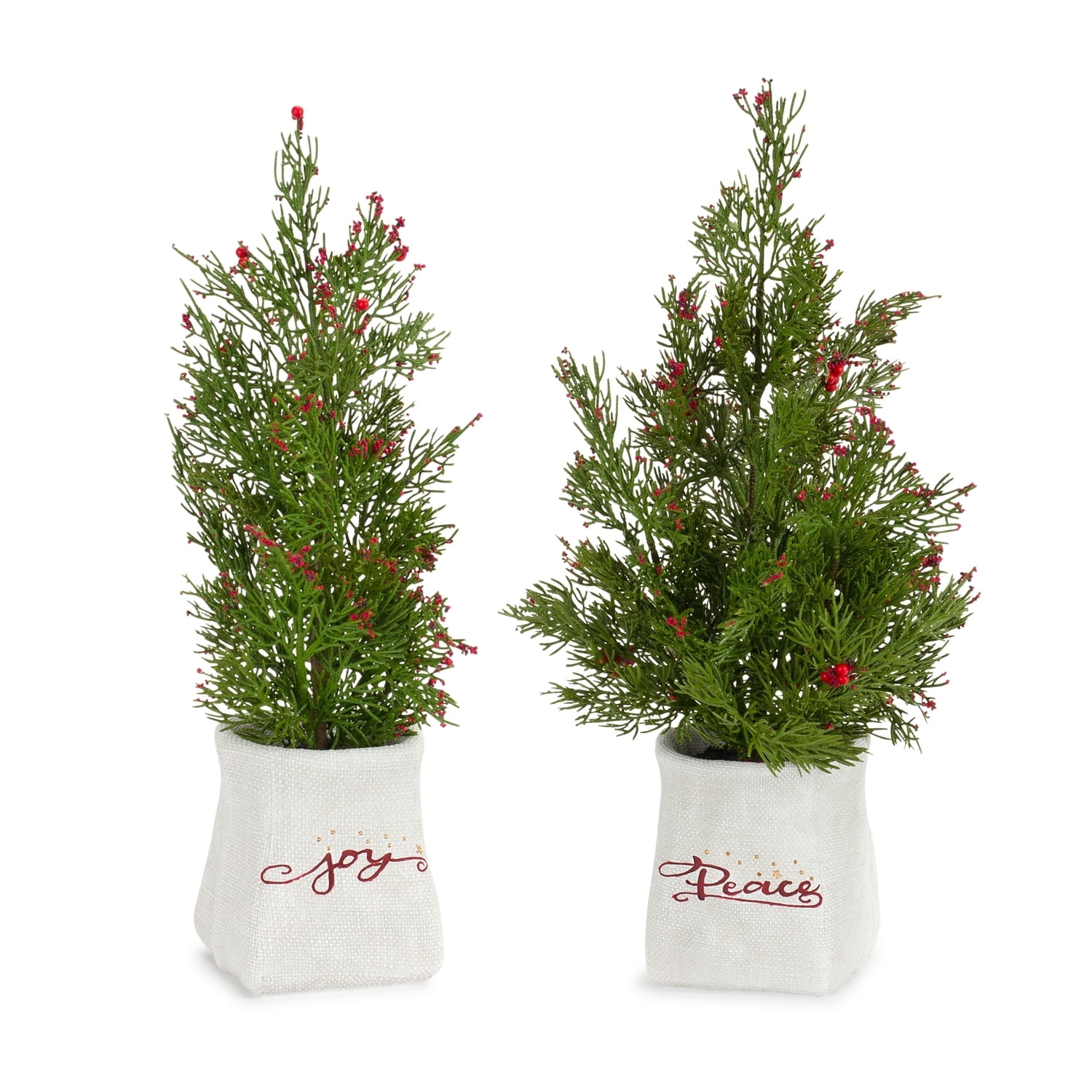 Set of 2 Potted Mini Pine Trees with Berry Accents