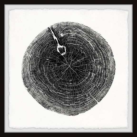 Contemporary Framed Wall Art Print - Abstract Tree Stump Decor - 32x32 Inch Modern Home Decor