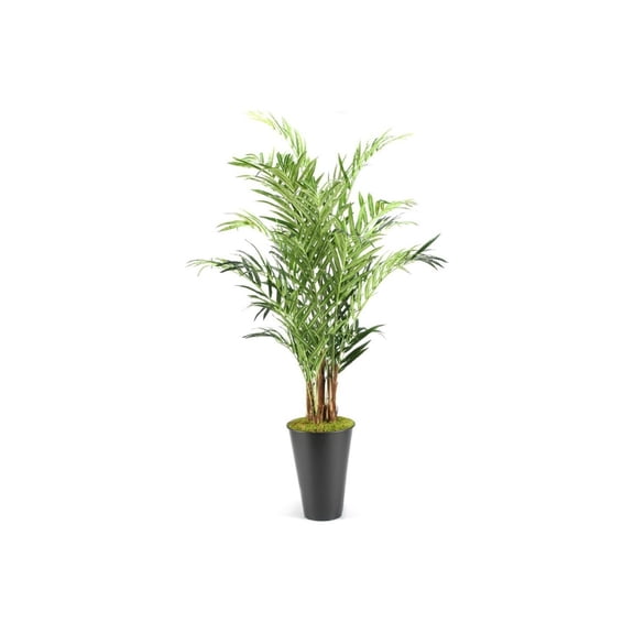 Tall Palm Plant in Planter - Mediterranean Style Indoor Greenery for Home Decor - Living Room, Sunroom Accent