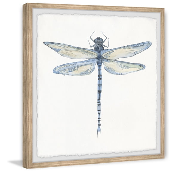 Dragonfly Wall Art Print - Framed Nature Decor 24x24 - Modern Home Decor, Abstract Painting, Digital Print