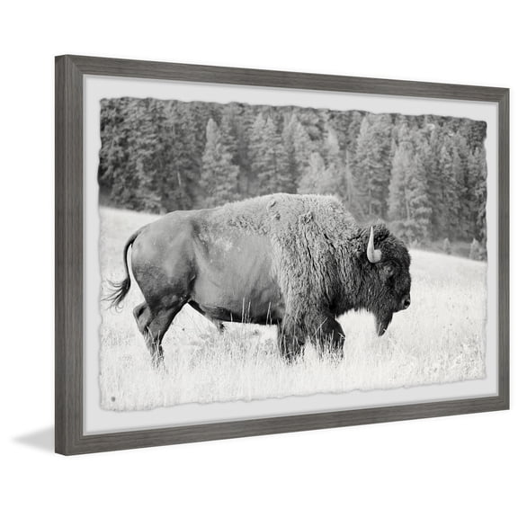 Buffalo Grazing Framed Wall Art Print - 30x20" Home Decor - Modern Abstract Digital Painting for Living Room