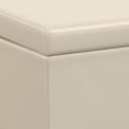 thumbnail image 1 of Homestock Rustic Romance Wide Rectangle Storage Ottoman Bench, 1 of 42
