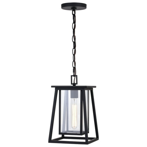 Outdoor Pendant LanternBlack Cage FrameClear Glass 1 LightTimeless Tradition Style