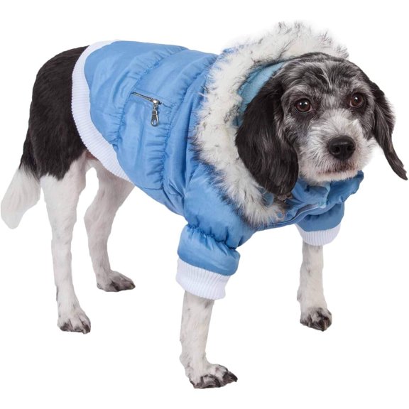 Stylish Ski Dog Coat - Victorian Design, Removable Hood, Small Size, Blue