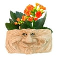 thumbnail image 1 of Homestyles Grandpa "Old Hickory" Muggly Face Garden Statue Tree & Patio Wall Planter, 1 of 3