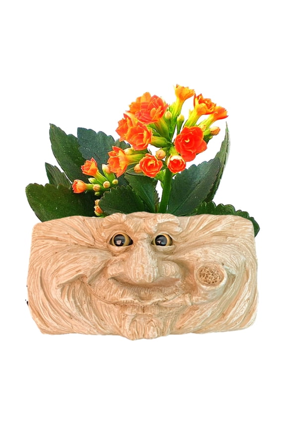 Grandpa "Old Hickory" Muggly Face Garden Statue Tree & Patio Wall Planter