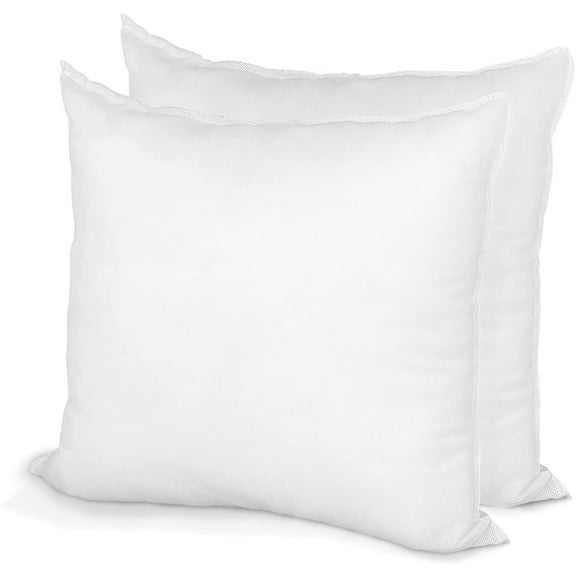 Hometex Canada Pillow Insert 10" x 10" Polyester Filled Standard Cover (2 Pack)