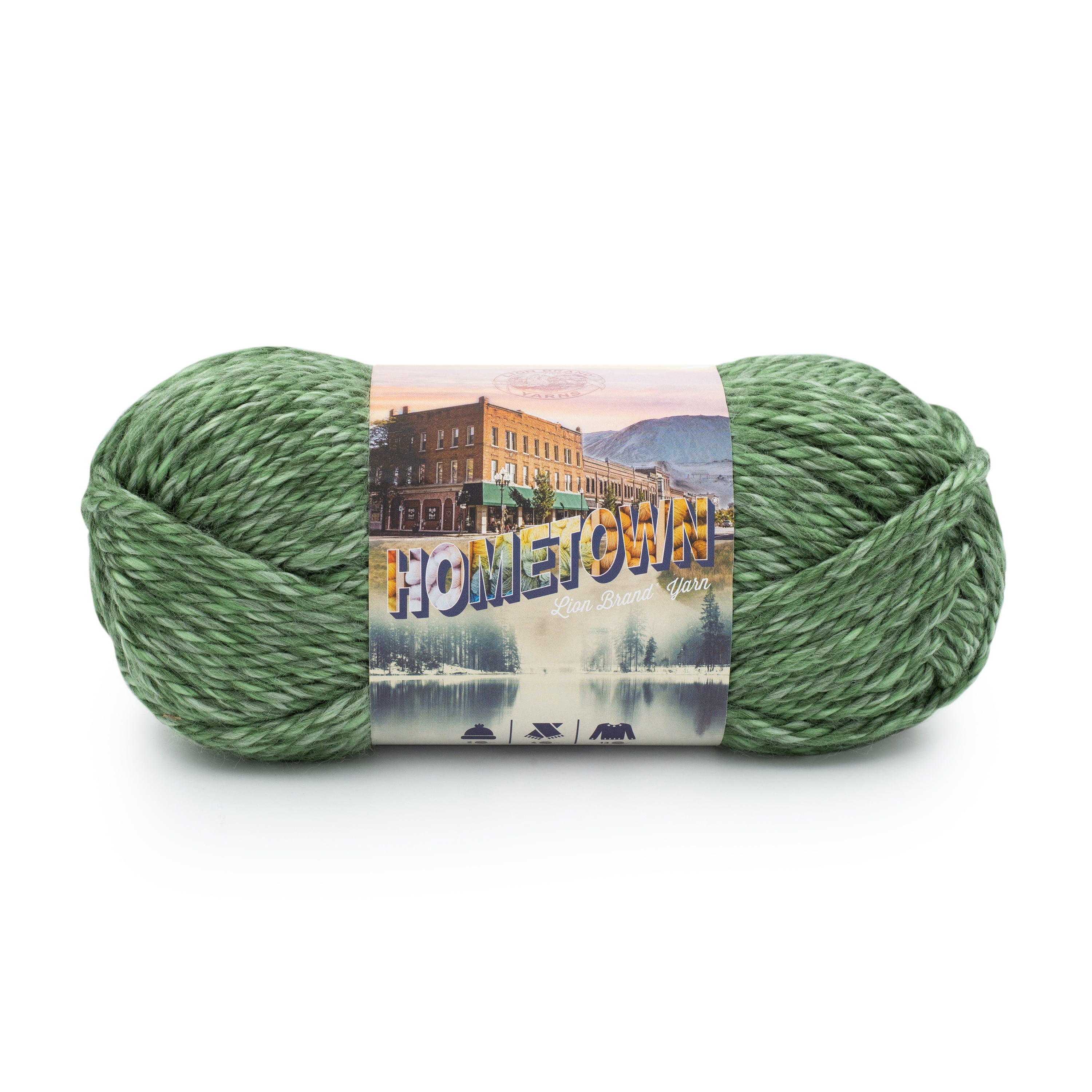 Lion Brand Yarn Hometown Everglades 135-241G Super Bulky Acrylic Yarn